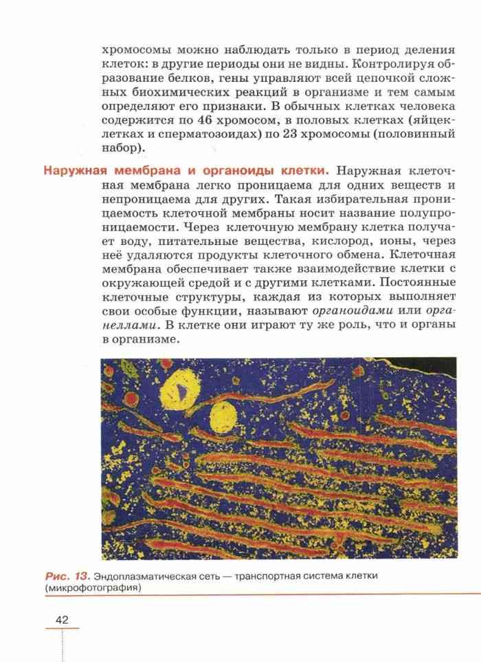 Учебник Биология 8 класс Колесов Маш Беляев читать онлайн